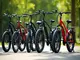 die-vielfalt-der-ebikes-arten-und-unterschiede-erklaert