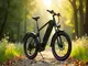 e-bike-625-wh-reichweite-was-sie-wissen-sollten