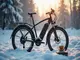 e-bike-akku-bei-niedriger-temperatur-tipps-zur-pflege