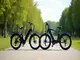 e-bikes-und-pedelecs-die-wichtigsten-unterschiede-und-ihre-vorteile
