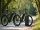 ebike-akku-dreieck-vorteile-und-einsatzmoeglichkeiten