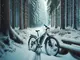 winterpflege-fuer-dein-e-bike-fit-durch-die-kalte-jahreszeit